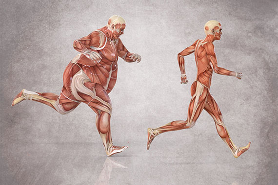 лучшие тренировки для сжигания жира