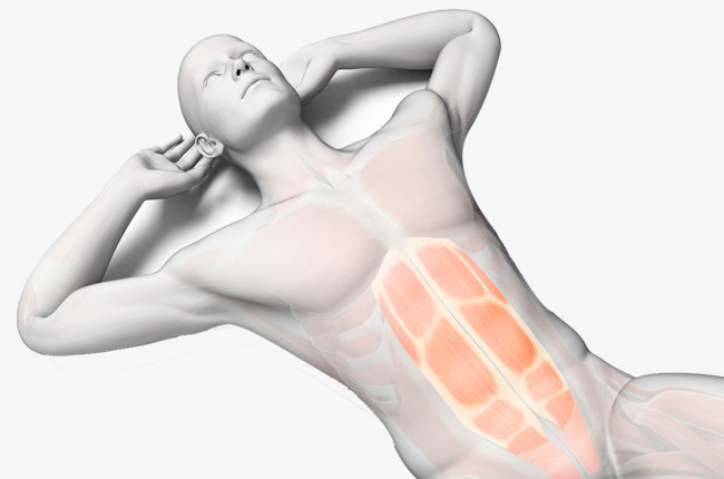 слабый пресс