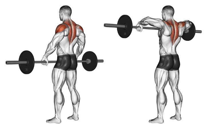 Жим плечами