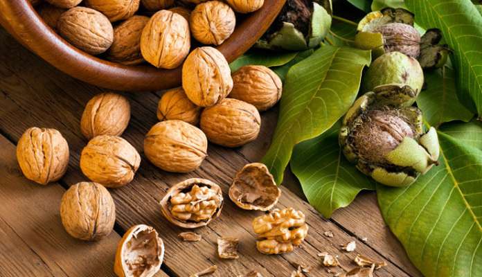 грецкие орехи