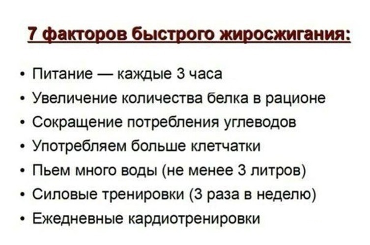 Кардиотренировка для сжигания жира