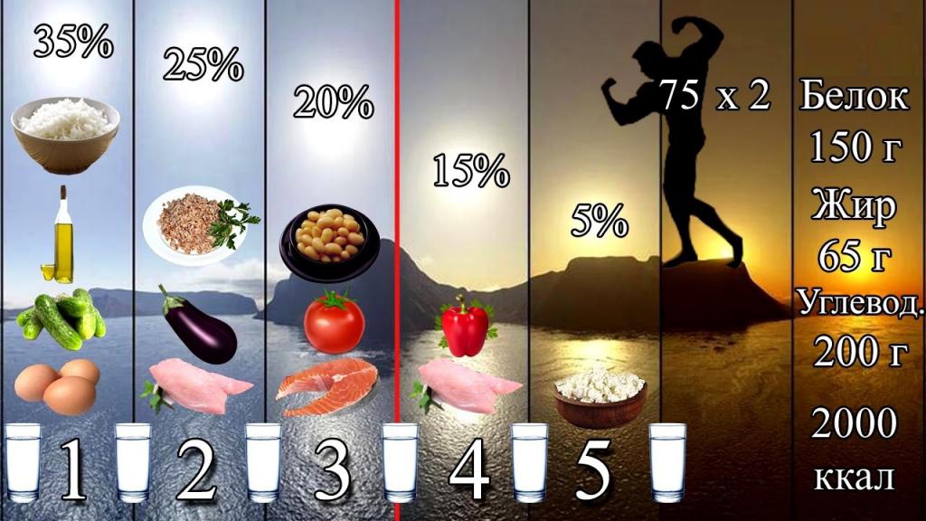 Тренировки и питание для сжигания жира