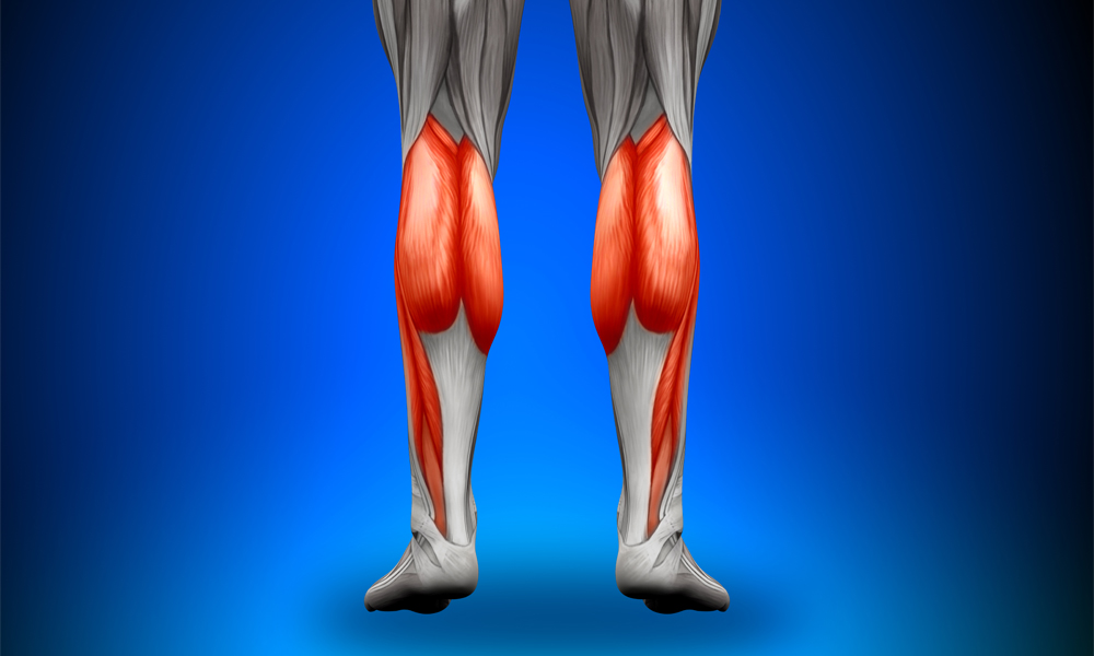 Как качать икры