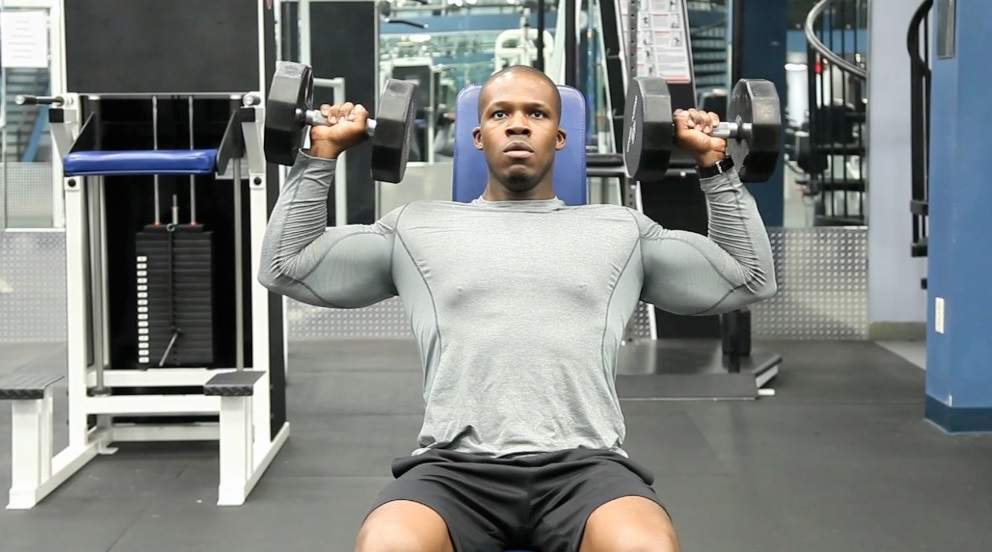 Жим гантелей сидя: фото