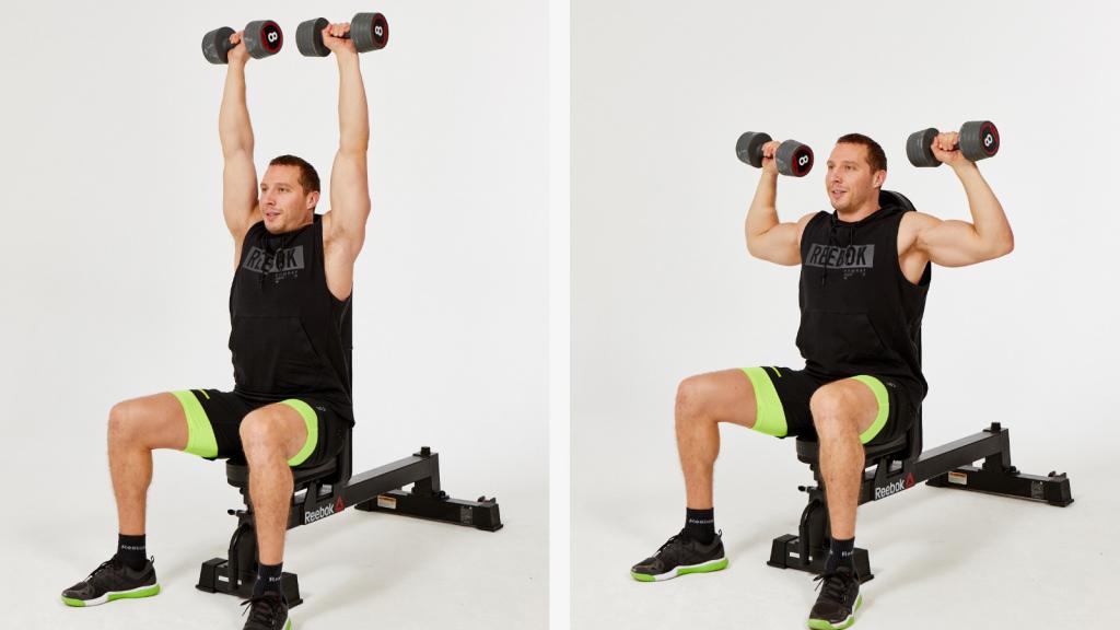 Жим гантелей сидя: какие мышцы работают?