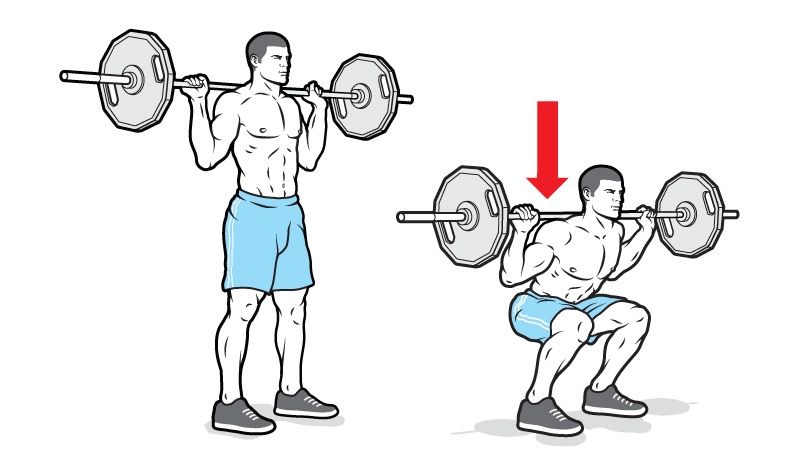 Техника выполнения приседаний