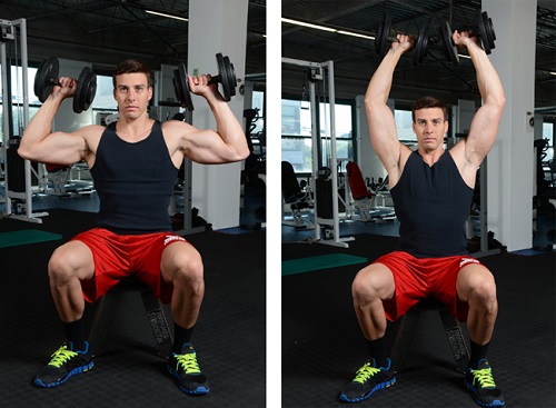 Жим гантелей сидя