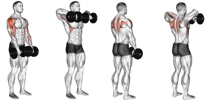 Протяжка с гантелями