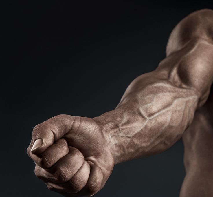 лучшие упражнения для предплечий