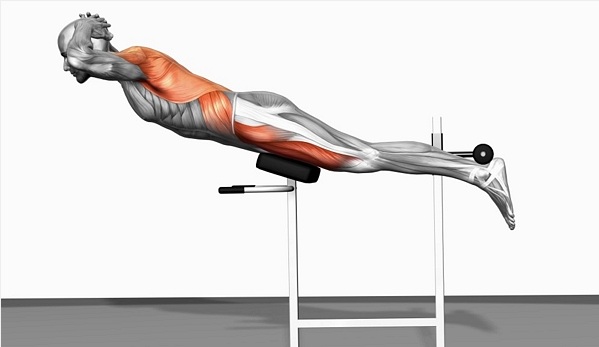 Нагружаемые при выполнении мышцы