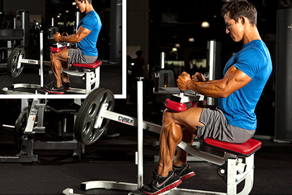 Тренировка икр сидя в тренажере