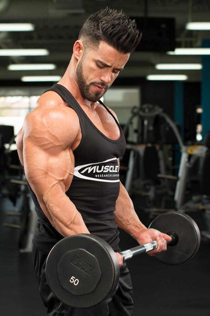 тестостерон энантат соло курс