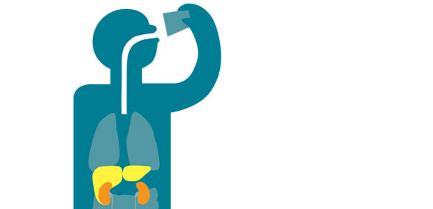 Восстановление и чистка печени