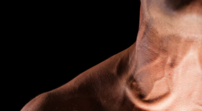 как накачать заднюю часть шеи