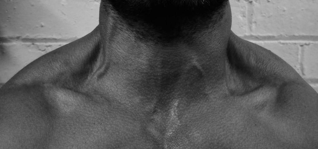 как накачать шею упражнения