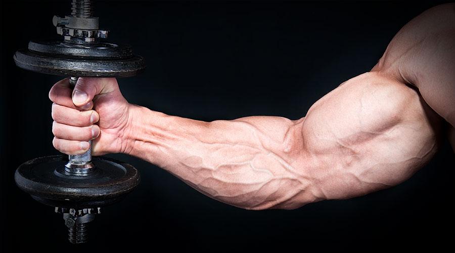 Гантеля в руке