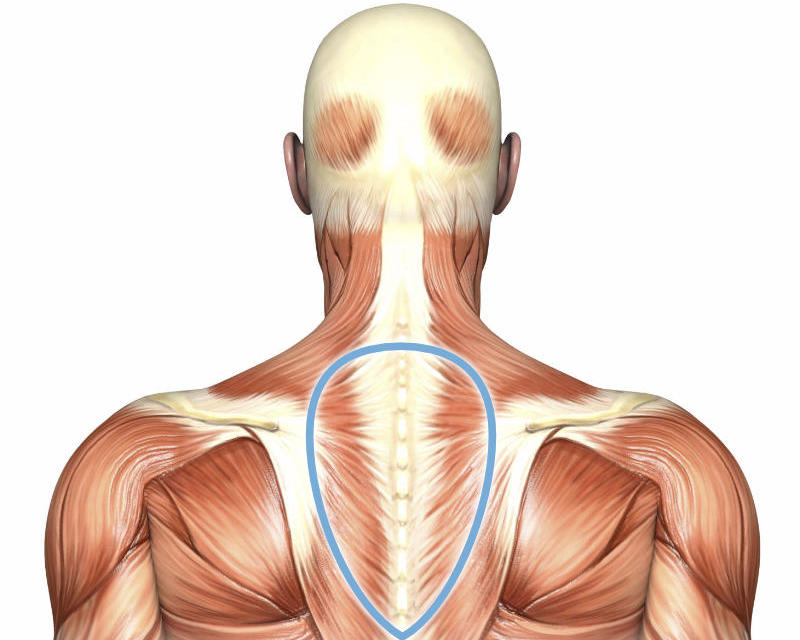 Упражнения на дельты в тренажерном зале