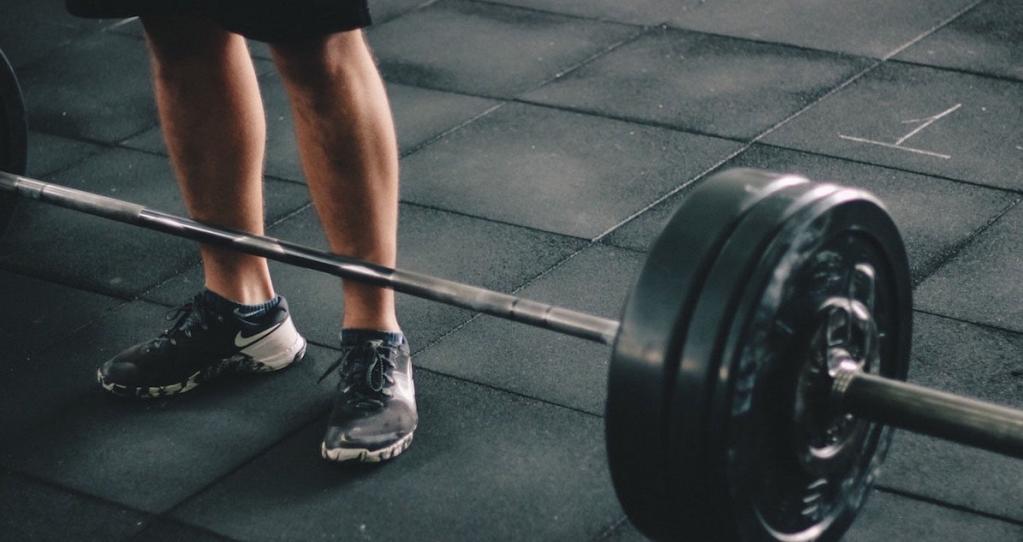 Курс анаполон соло