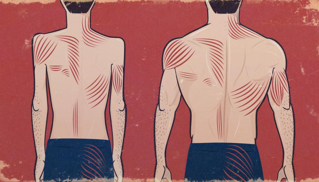 жим узким хватом лежа какие мышцы работают