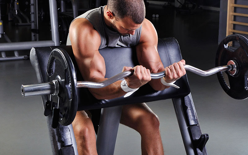 нагрузка на группы мышц рук