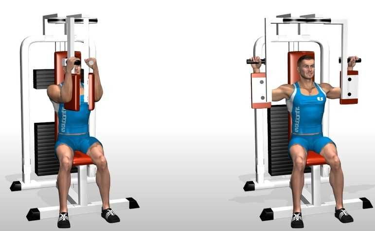 Упражнения на грудь на тренажере