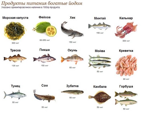 Содержание йода в морепродуктах