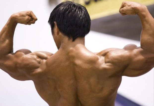 Наращивание мышц благодаря "Провирону"