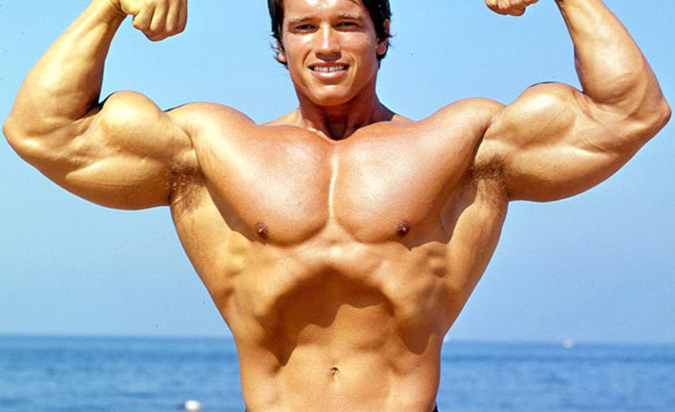 арни занимается