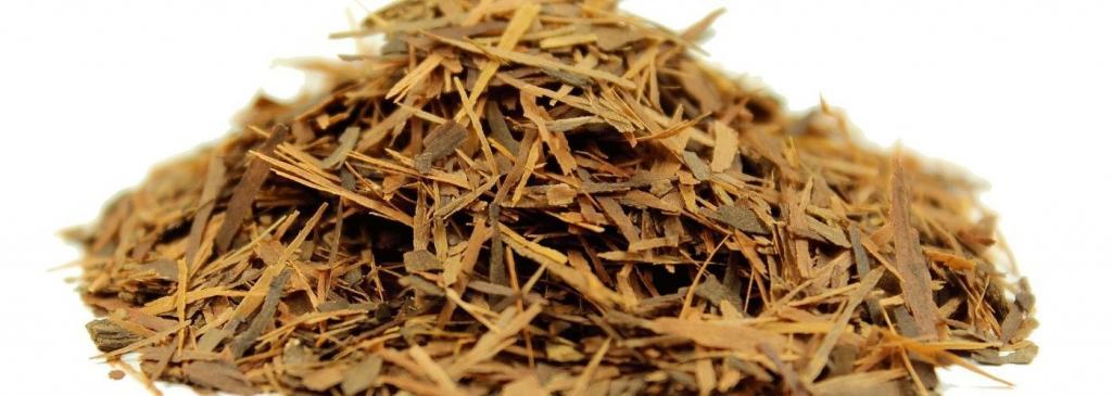 полезные свойства коры муравьиного дерева