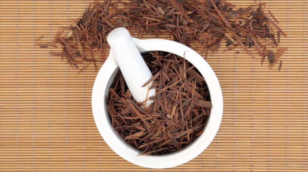 применение коры муравьиного дерева