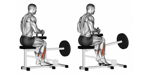 Поднятие ног сидя