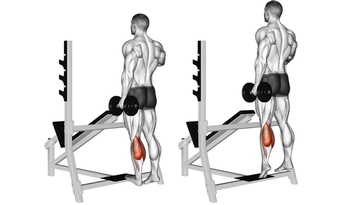 Упражнение для икр