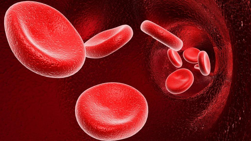 коагуляция крови