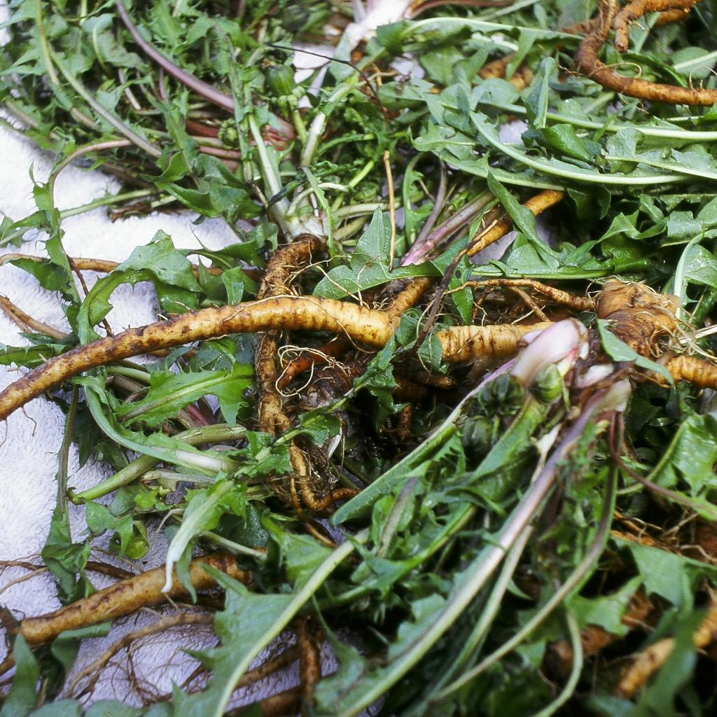 как убрать быстро холестерин