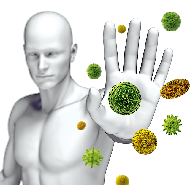 чем можно укрепить иммунитет