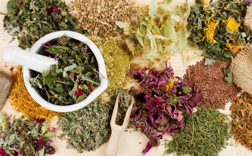 желчегонные травы