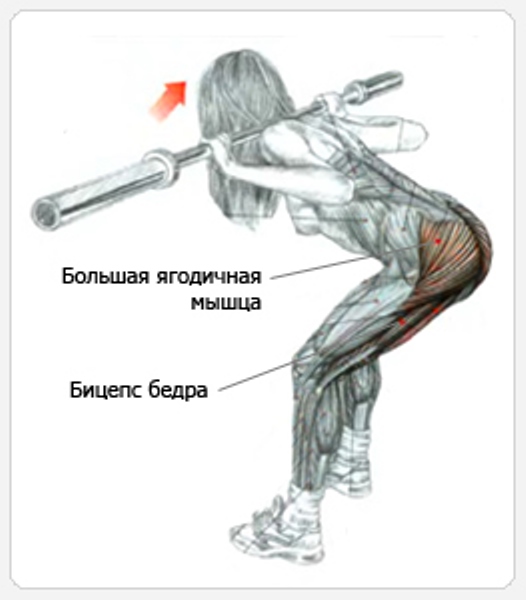 Упражнение "Гутен морген"