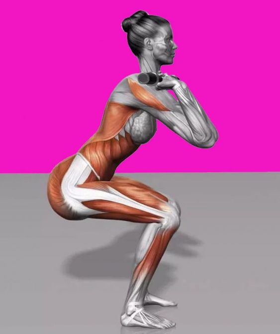 Приседания (классика)