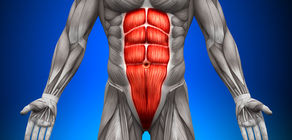 нижний пресс