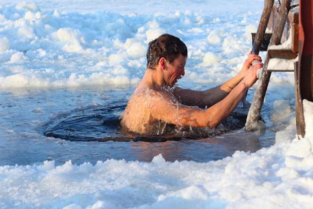 Как пить эхинацею для поднятия иммунитета