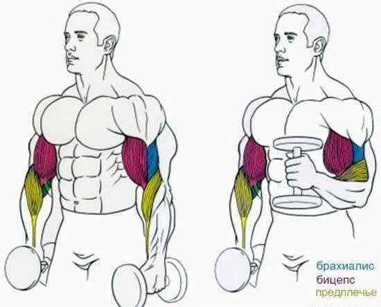 Упражнение "молот"