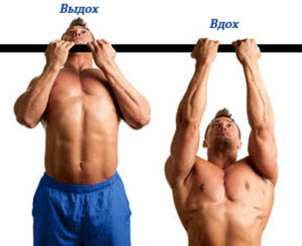 Правильные подтягивания