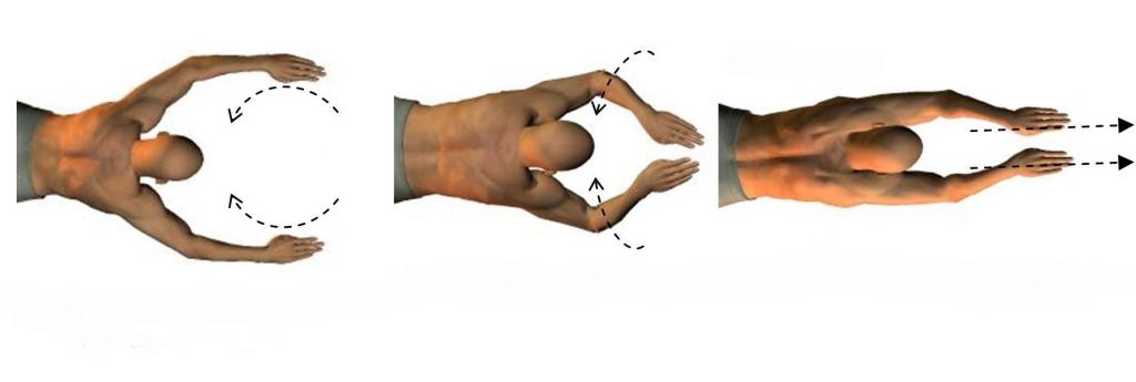Основная часть гребка руками