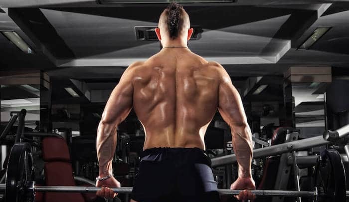 работа мышц