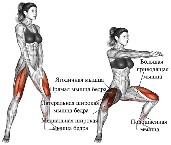 Какие мышцы задействованы