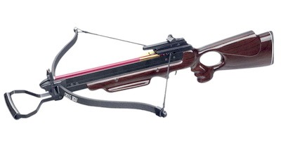 Arbalet dlia sporta vintovochnye