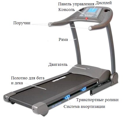 Ustroistvo begovoi dorozhki