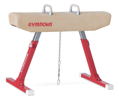 Gimnasticheskii kon makhovyi