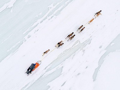 Gonki na sobachikh upriazhkakh 2