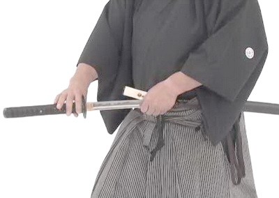 Iaido 2